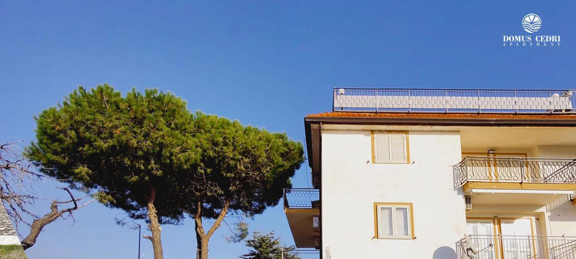 Domus Cedri Apartment Santa Maria Del Cedro Exterior foto